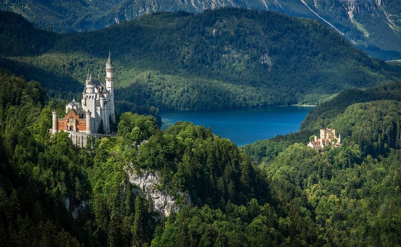 Enchanted Forest